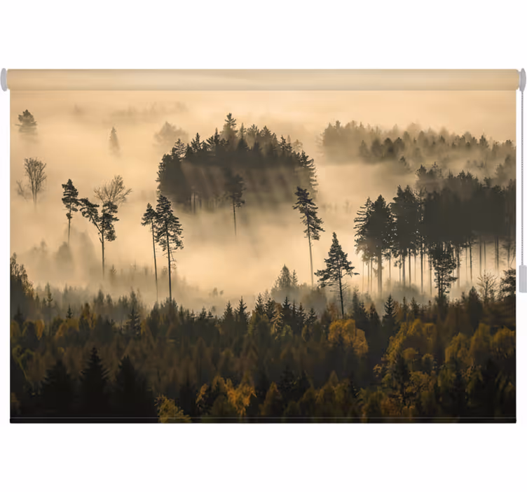 Tenda a rullo alberi nebbia mattutina eterea - TenStickers