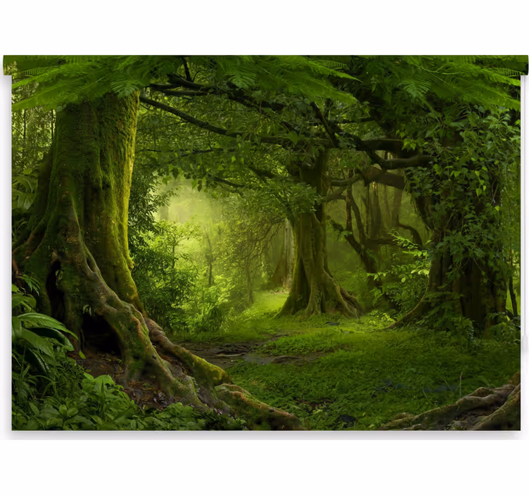 Tenda a rullo alberi fuga nel bosco lussureggiante - TenStickers