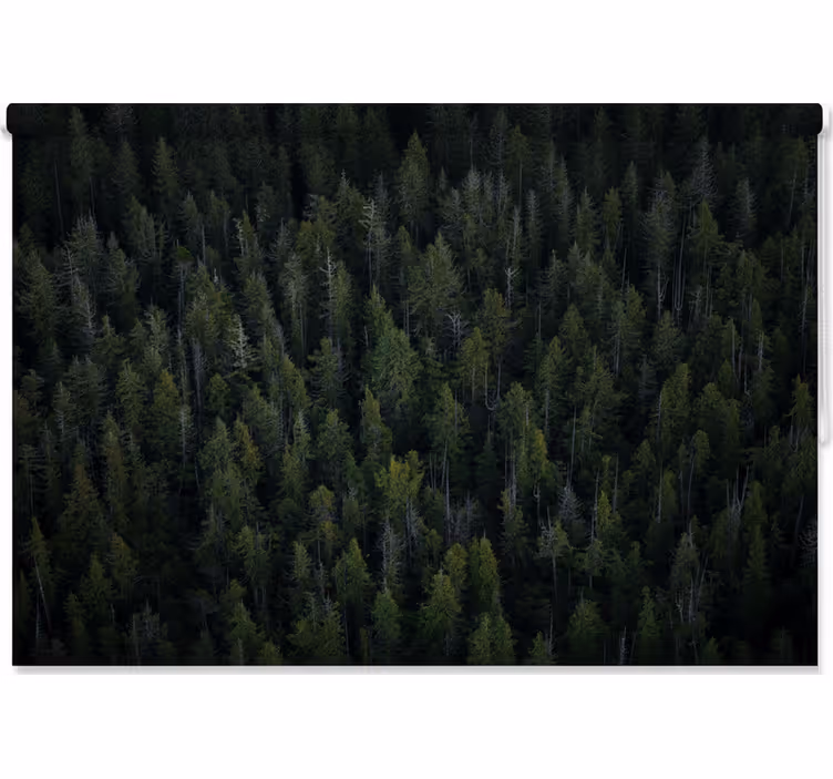 Tenda a rullo alberi texture boschiva profonda - TenStickers