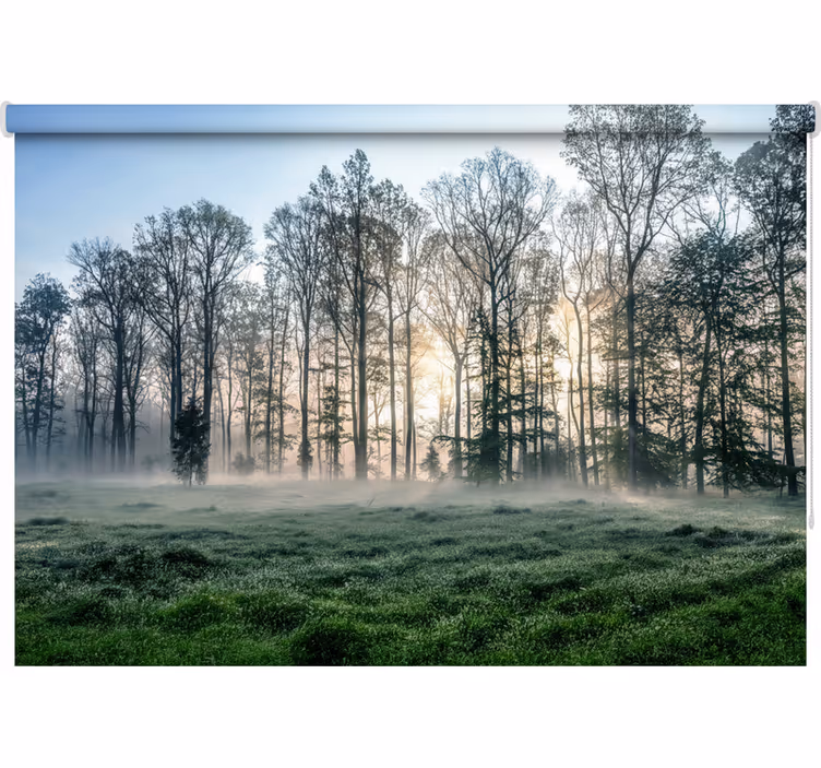 Tenda a rullo alberi prato mattutino nebbioso - TenStickers