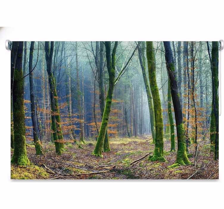 Tenda a rullo alberi foresta nebbiosa japandi - TenStickers