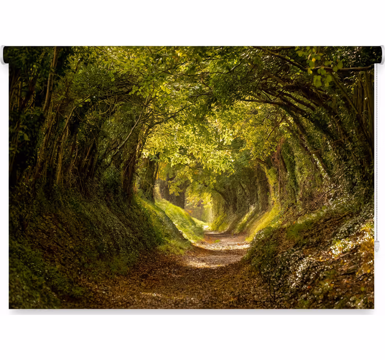 Tenda a rullo alberi affresco forestale immersivo - TenStickers