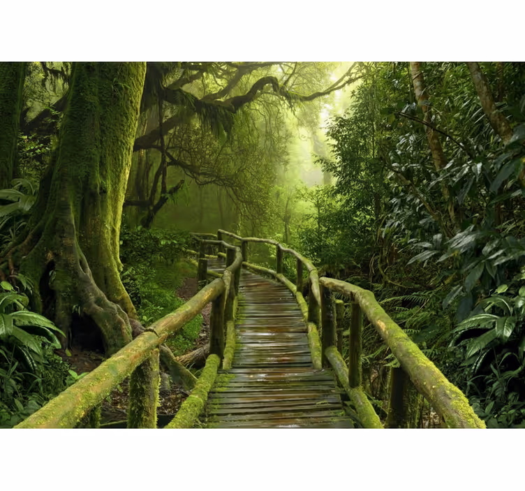 Tenda a rullo alberi sentiero muschioso lussureggiante - TenStickers