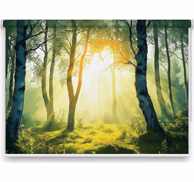 Tenda a rullo alberi murale betulla baciata dal sole - TenStickers
