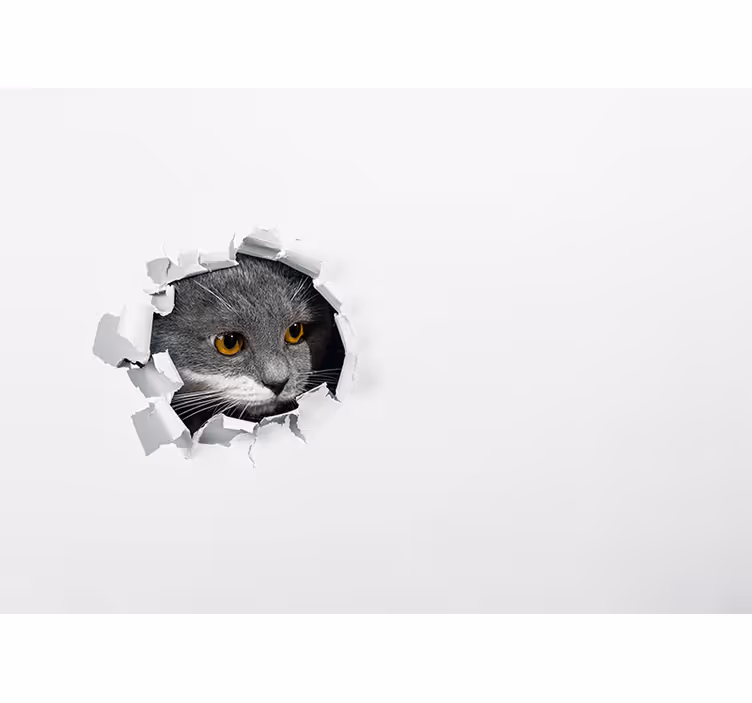 Tenda a rullo bianca gattino carino - TenStickers