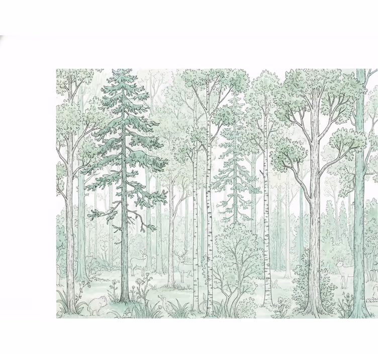 Tenda a rullo bianca schizzo di bosco menta - TenStickers