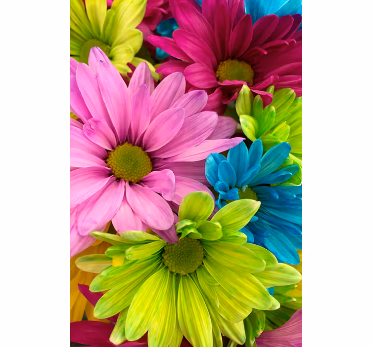 Tenda a rullo soggiorno fiori colorati - TenStickers