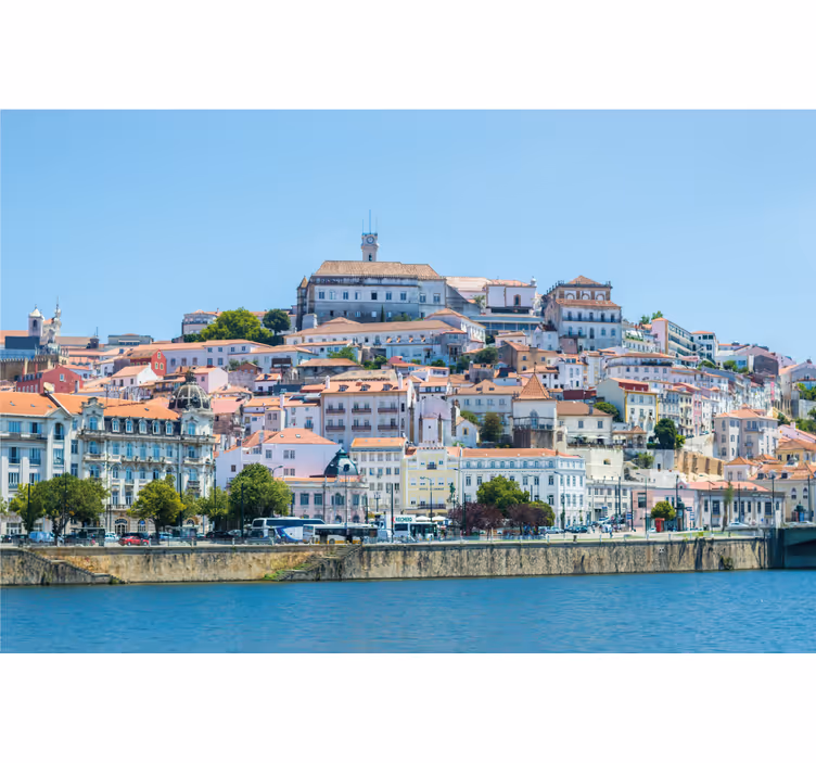 Tenda a rullo soggiorno coimbra - TenStickers