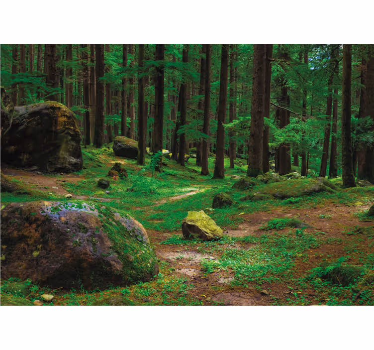 Tenda a rullo soggiorno foresta verde con alberi - TenStickers
