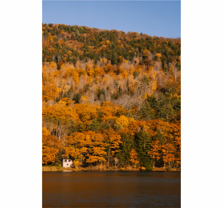 Tenda a rullo soggiorno lago e alberi dorati - TenStickers