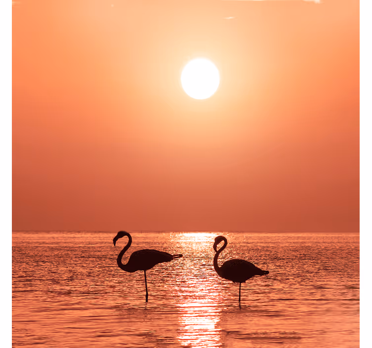 Tenda a rullo soggiorno bel fenicottero al tramonto - TenStickers
