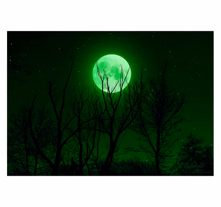 Tenda a rullo nera luna verde - TenStickers
