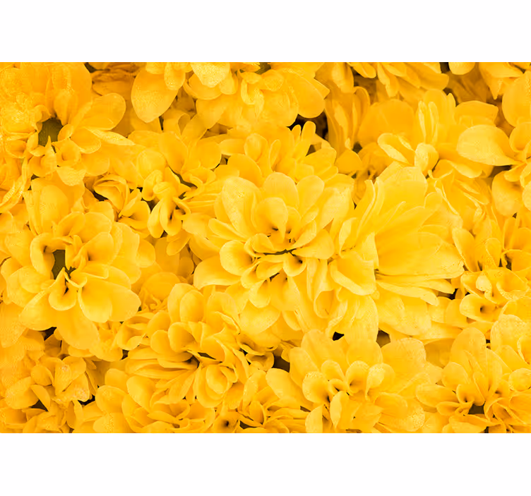 Tenda a rullo gialla petali di fiore - TenStickers
