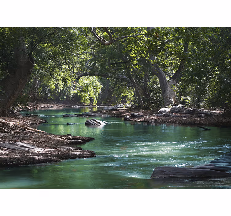 Tenda a rullo soggiorno foresta e fiume - TenStickers