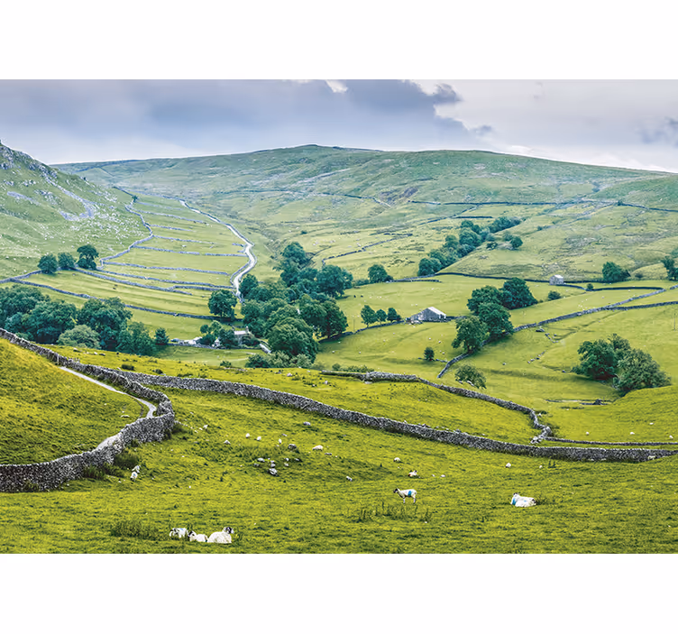 Tenda a rullo soggiorno campagna inglese - TenStickers