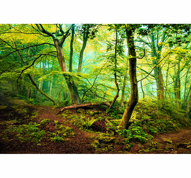 Tenda a rullo soggiorno luce verde brillante - TenStickers