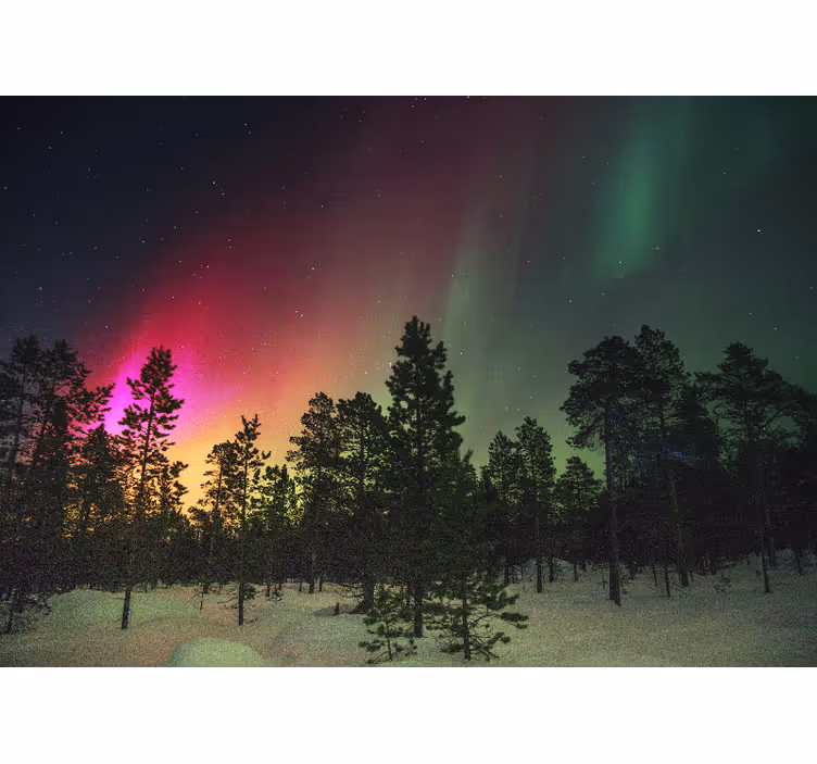 Tenda a rullo soggiorno luci del nord tra gli alberi - TenStickers