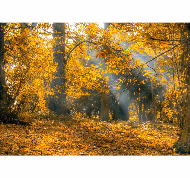 Tenda a rullo soggiorno autunno dorato - TenStickers