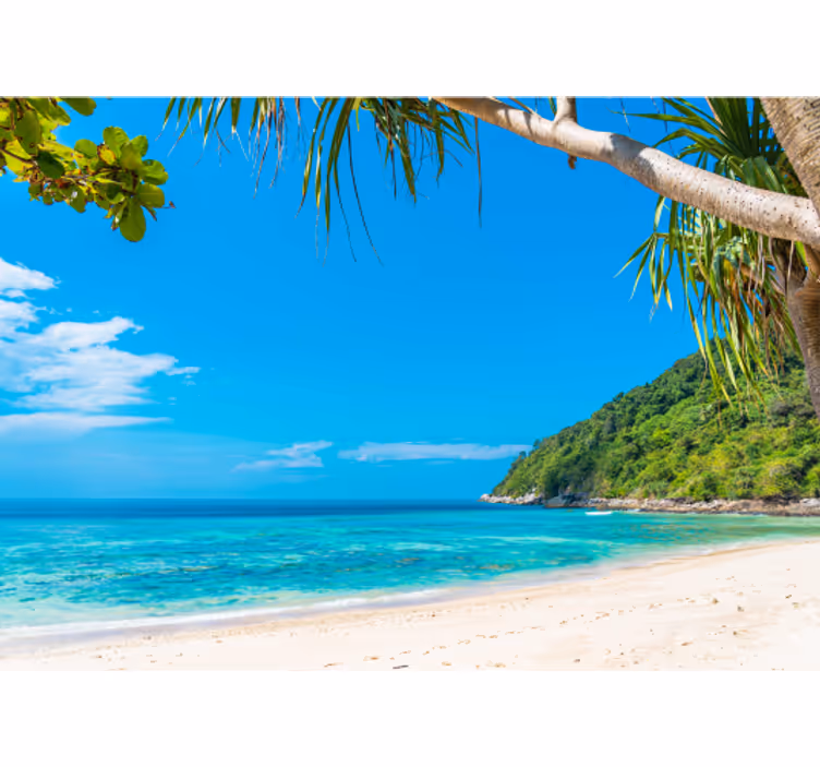Tenda a rullo soggiorno vista sul mare caraibico - TenStickers