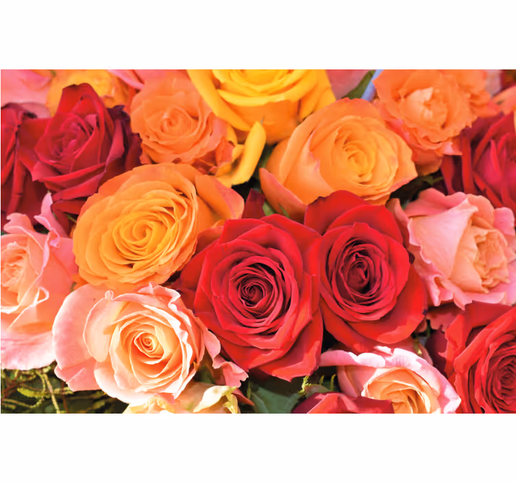 Tenda a rullo soggiorno rose e fiori diversi - TenStickers