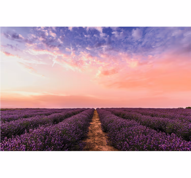 Tenda a rullo soggiorno fiori di lavanda in francia - TenStickers