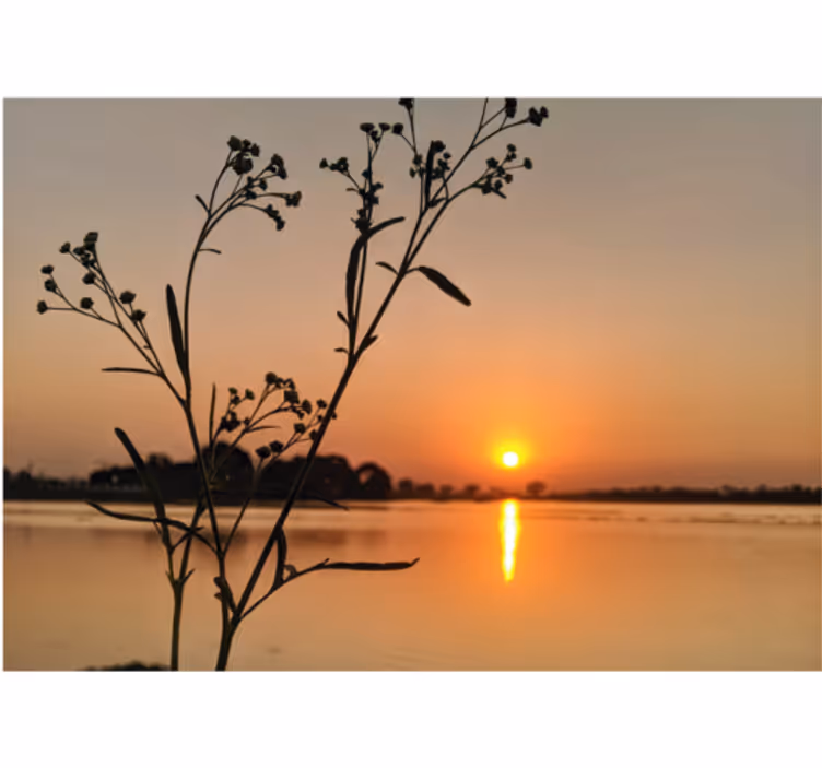 Tenda a rullo soggiorno tramonto sul lago - TenStickers