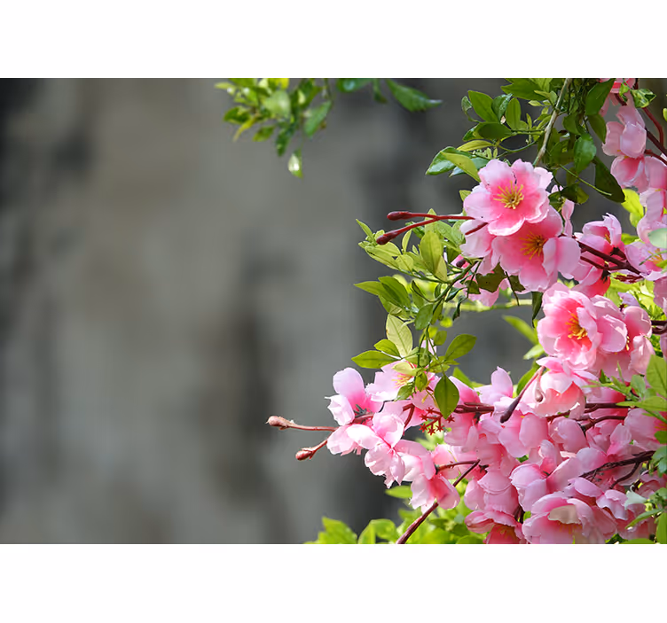 Tenda a rullo soggiorno fiori rosa 3d - TenStickers
