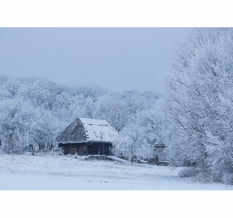 Tenda a rullo soggiorno cortile innevato - TenStickers