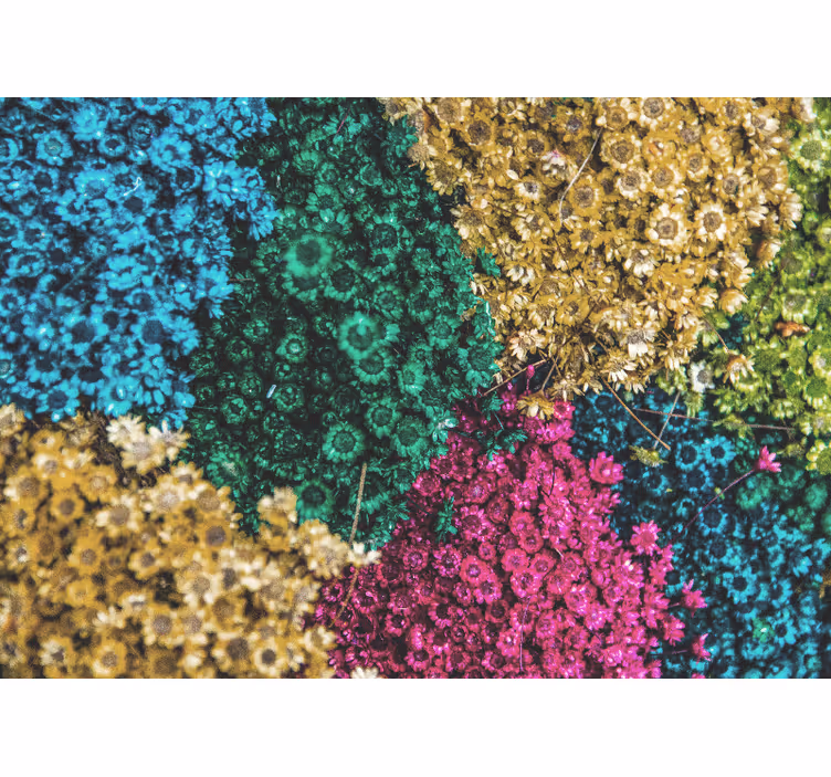 Tenda a rullo soggiorno margherite arcobaleno - TenStickers