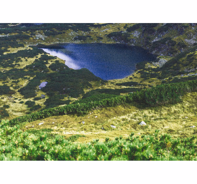 Tenda a rullo soggiorno verde tatra polacca - TenStickers