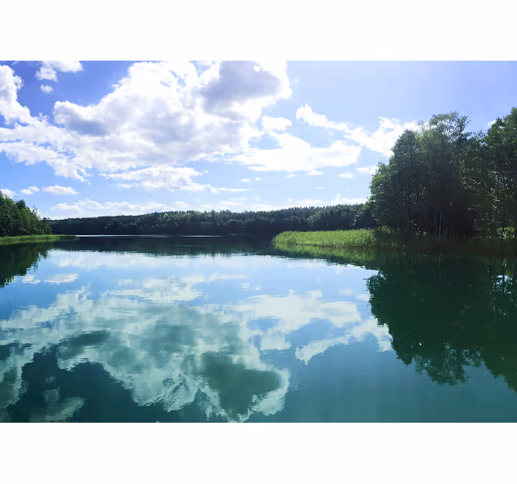 Tenda a rullo soggiorno lago di mazury polonia - TenStickers