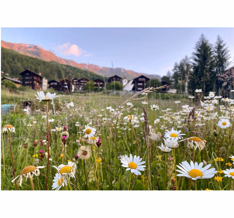Tenda a rullo soggiorno paesaggio fiorito in villaggio - TenStickers