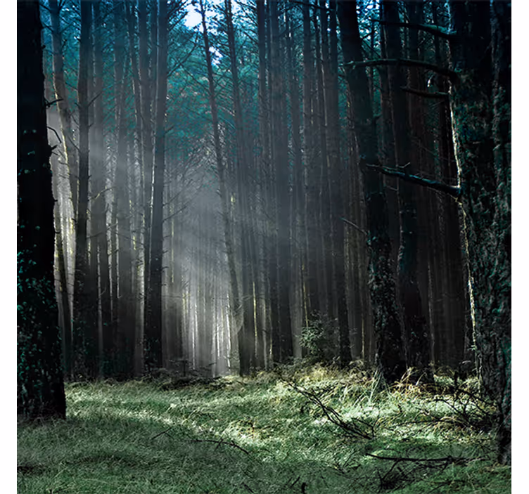 Tenda a rullo soggiorno foresta blu nebbiosa - TenStickers