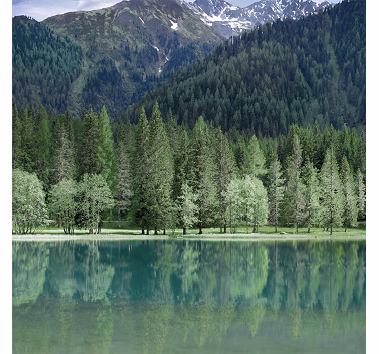 Tenda a rullo soggiorno lago verde naturale - TenStickers