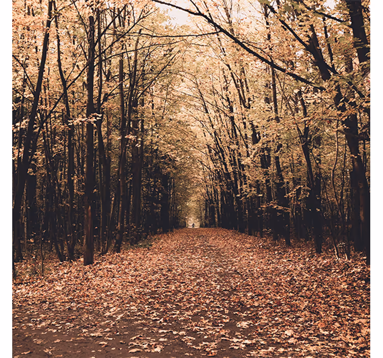 Tenda a rullo soggiorno foresta incantevole autunnale - TenStickers