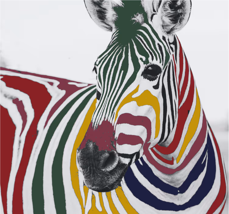 Tenda a rullo soggiorno arte dipinto zebra colorata - TenStickers
