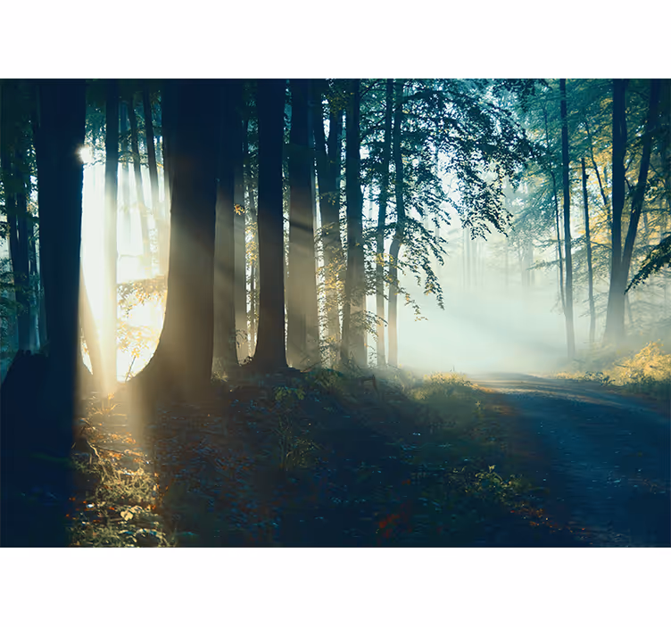 Tenda a rullo soggiorno bellissima foresta invernale - TenStickers
