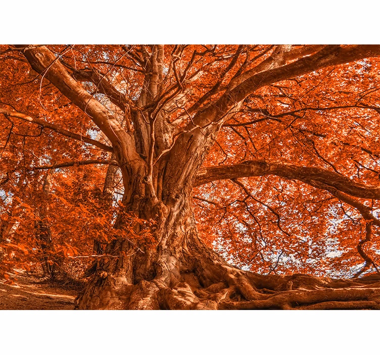 Tenda a rullo soggiorno grande albero autunnale - TenStickers