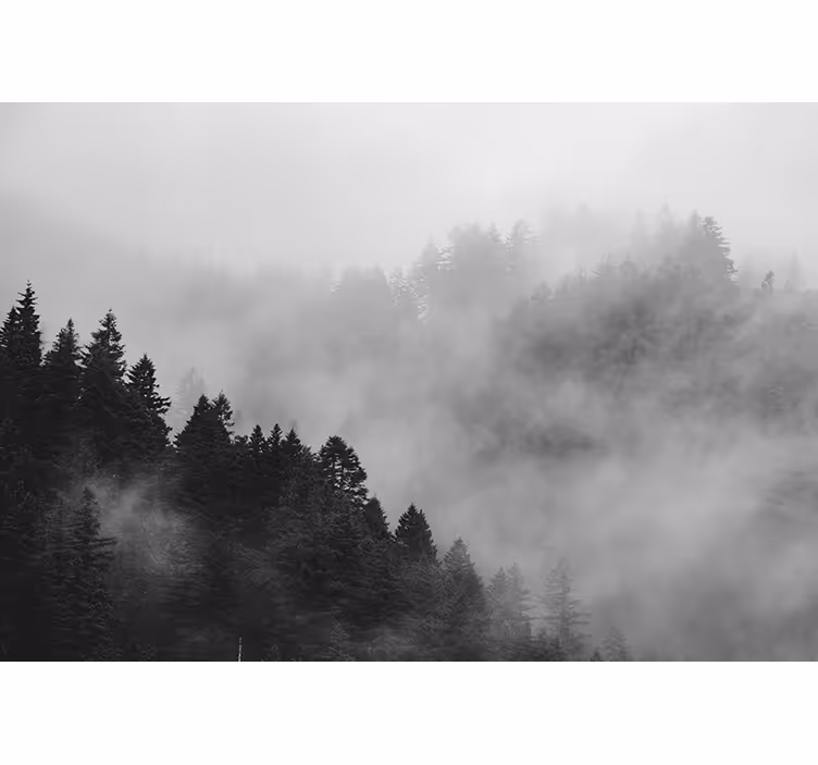 Tenda a rullo grigia foresta nebbiosa bianca e nera - TenStickers