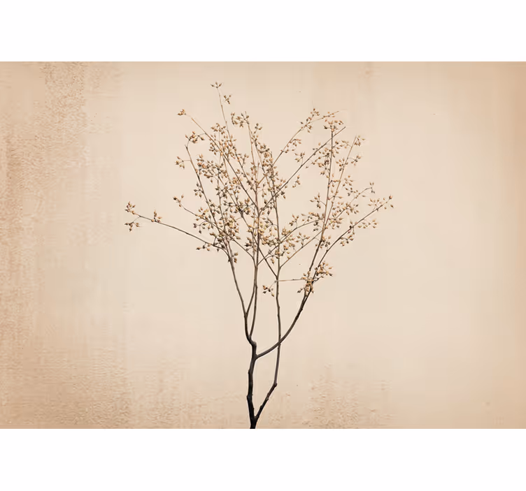 Tenda a rullo beige fioritura in stile japandi - TenStickers