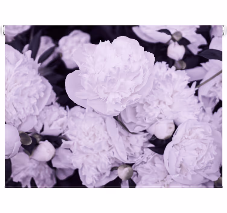 Tenda a rullo soggiorno eleganti peonie rosa femminili - TenStickers