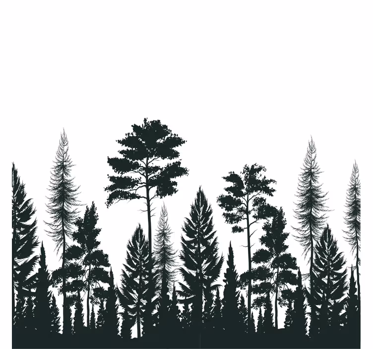Tenda a rullo soggiorno silhouette di pini - TenStickers