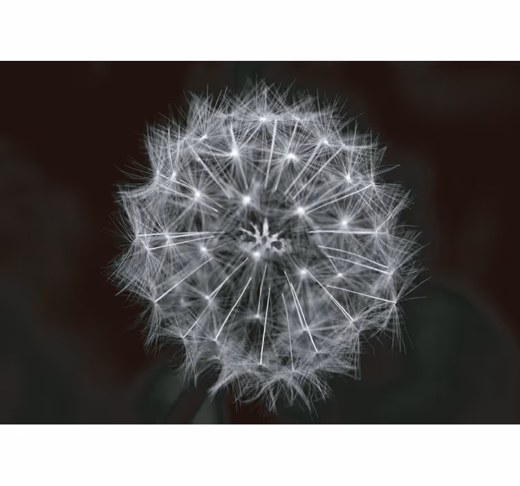 Tenda a rullo grigia fiore di soffione grigia - TenStickers