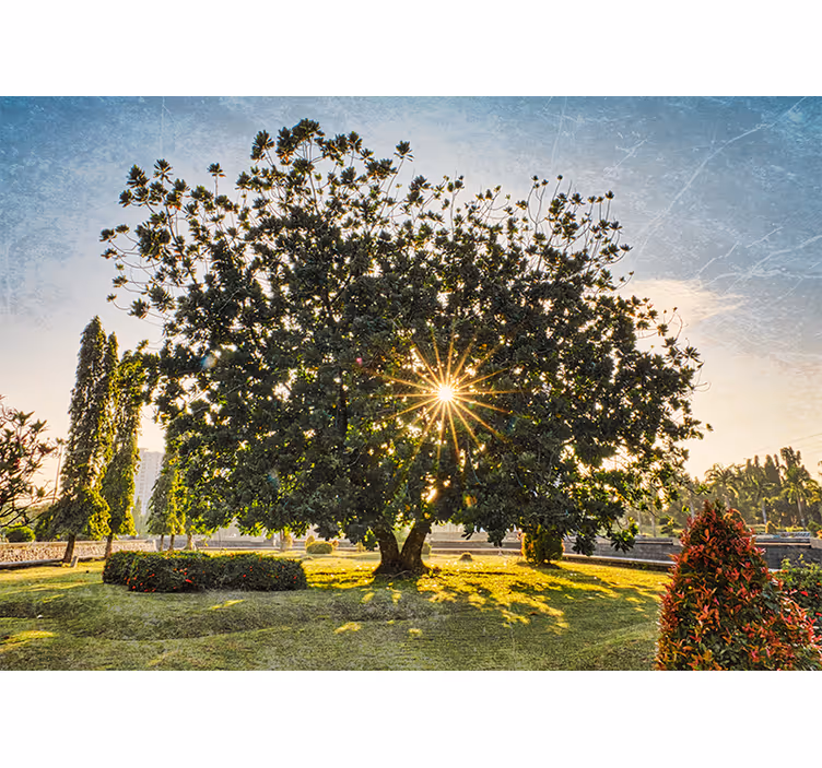 Tenda a rullo camera da letto parco verde estivo - TenStickers