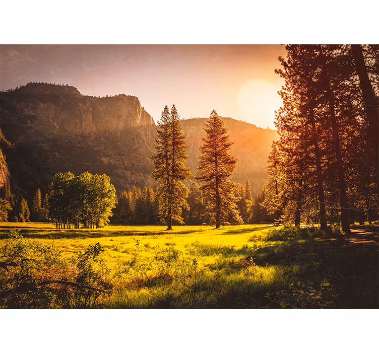 Tenda a rullo camera da letto tramonto tra gli alberi - TenStickers
