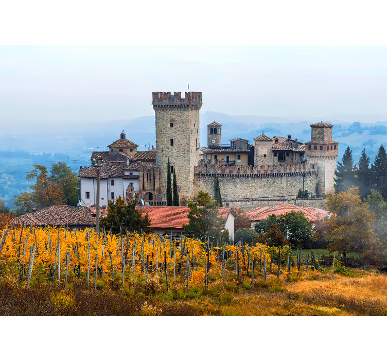 Tenda a rullo camera da letto design vigneti emilia-romagna - TenStickers