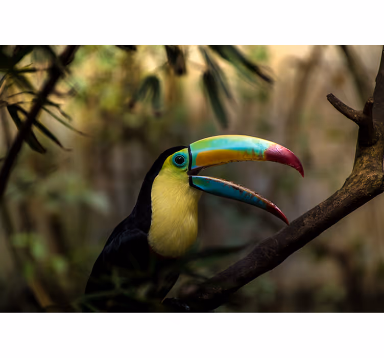 Tenda a rullo camera da letto tucano nella giungla - TenStickers