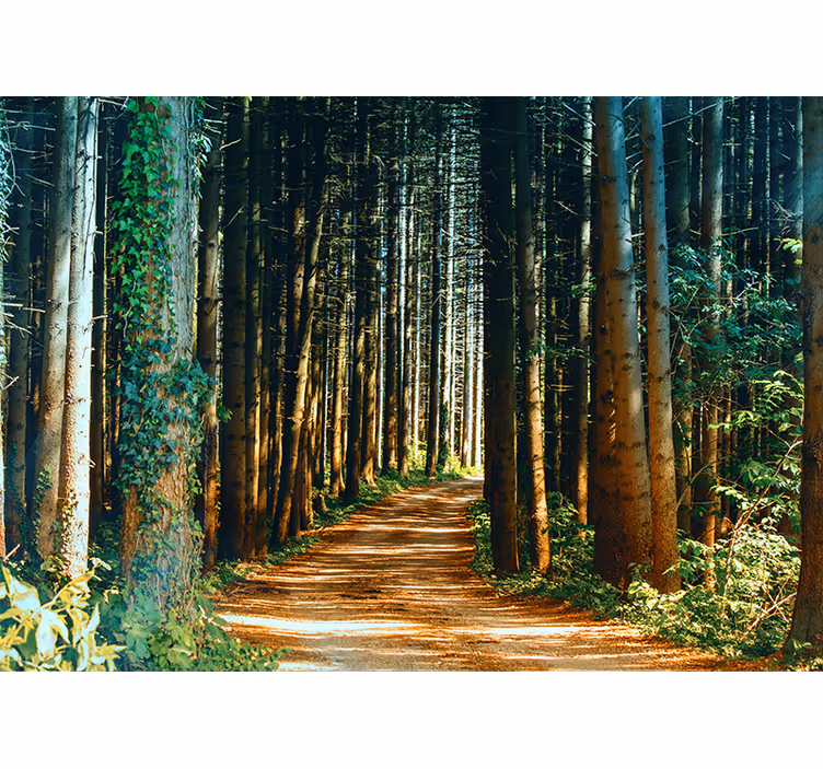 Tenda a rullo soggiorno cancello alberi natura - TenStickers