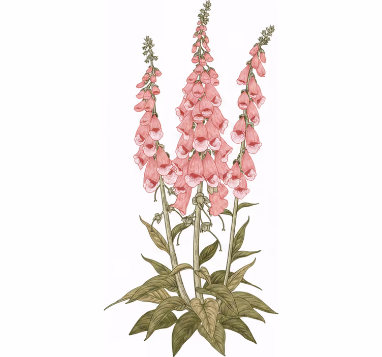 Tenda a rullo soggiorno fiori rosa - TenStickers