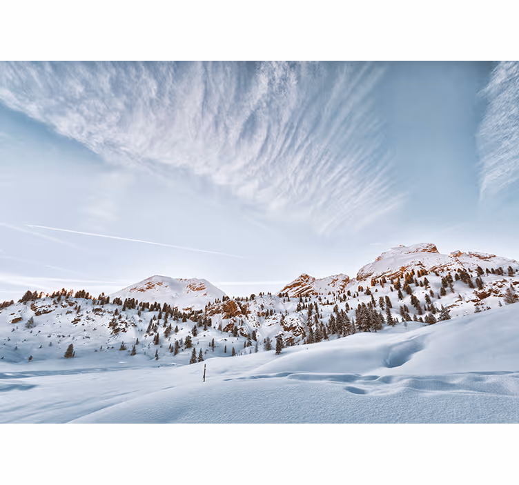 Tenda a rullo bianca montagne con neve - TenStickers